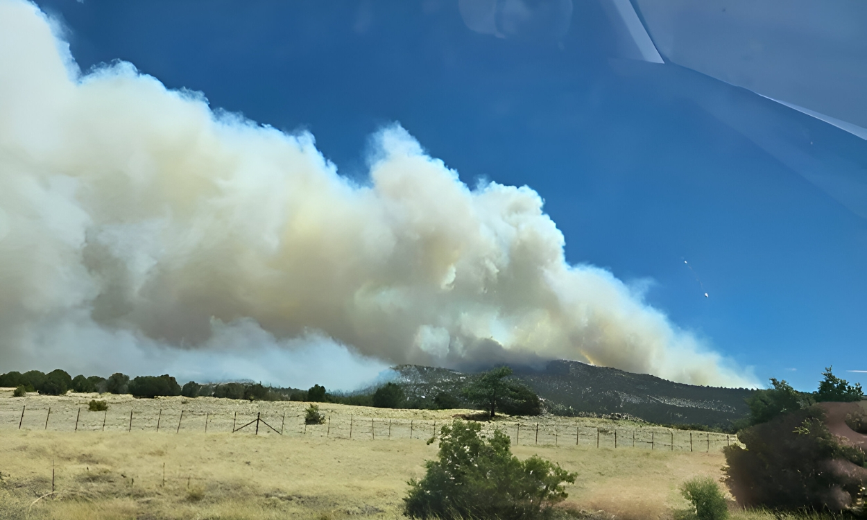 Wildfire Near Greer, Arizona forces evacuations as It spreads over 1,200 Acres