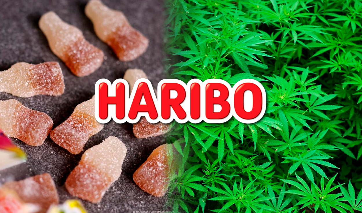 Haribo recalls 'Happy Cola' gummies in th Netherlands after cannabis contamination found