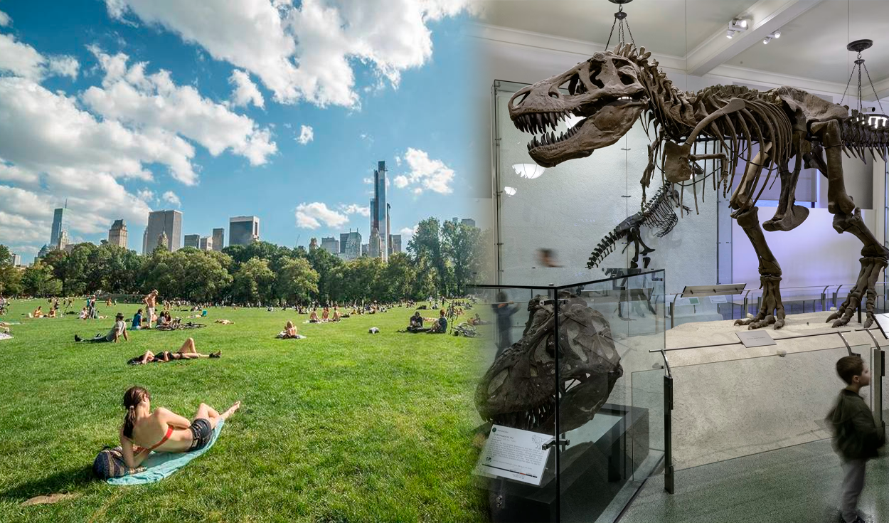 Plans for your Summer 2025? Explore your ultimate guide to New York’s free museums