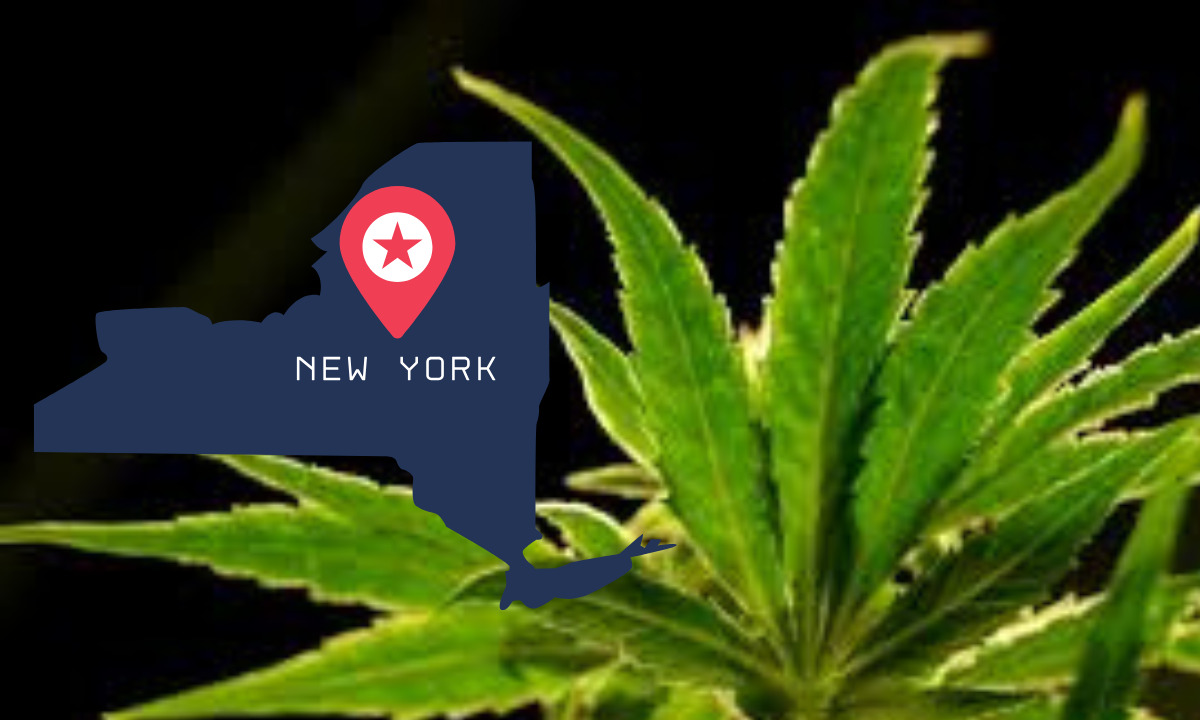 New York state recalls 9 cannabis products due to pesticide contamination